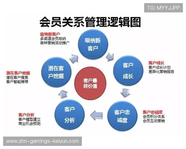 海港若扩展线上会员体系，粉丝粘性会如何提升？