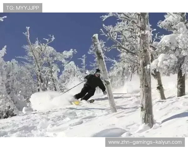 滑雪场荡气回肠救援:运动员奇迹生还 滑雪场荡气回肠救援:运动员奇迹生还